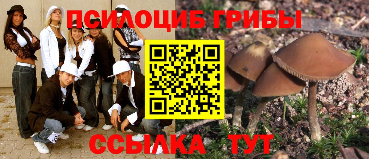 Добрянка  Галлюциногенные грибы мухоморы  Вход с VPN 